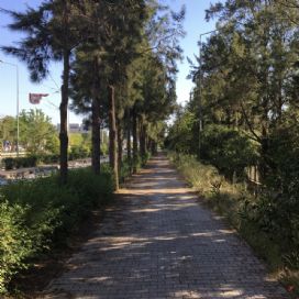 Kampüsten sahile