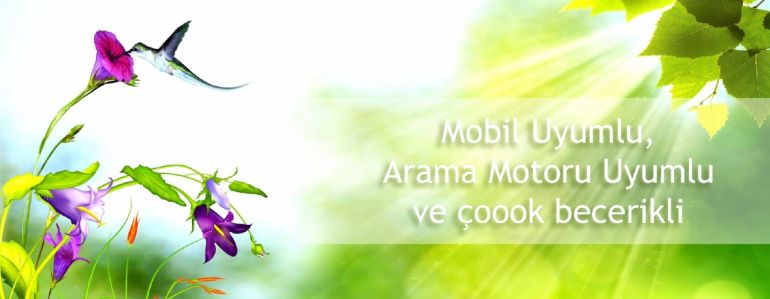 HeyOo - 3 Web Sitesi